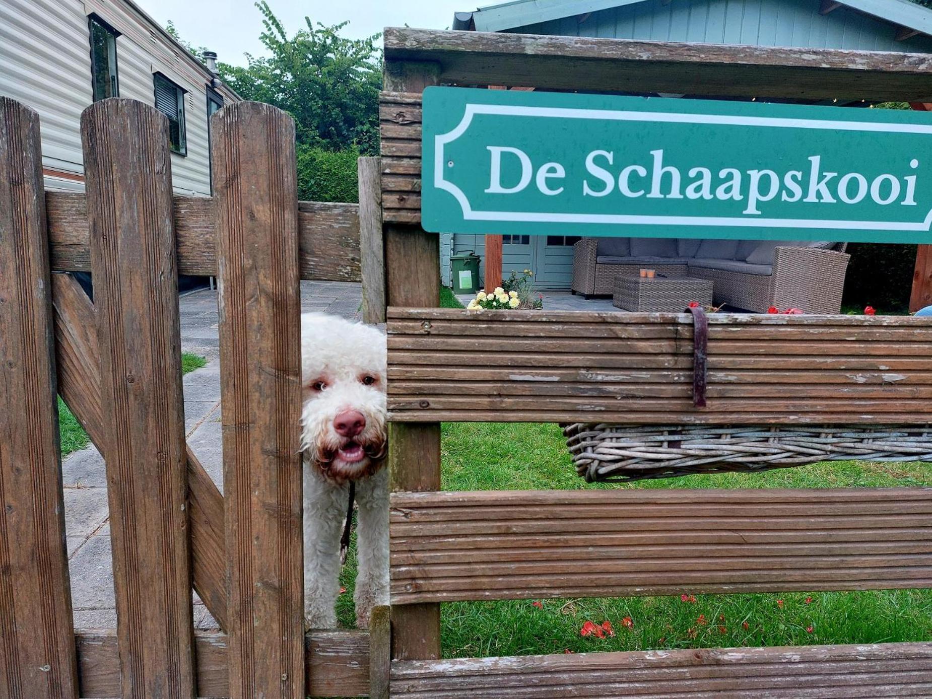 Familychalet De Schaapskooi, 6-Persons, Big Private Garden, Dogs Aloud Westergeest Экстерьер фото